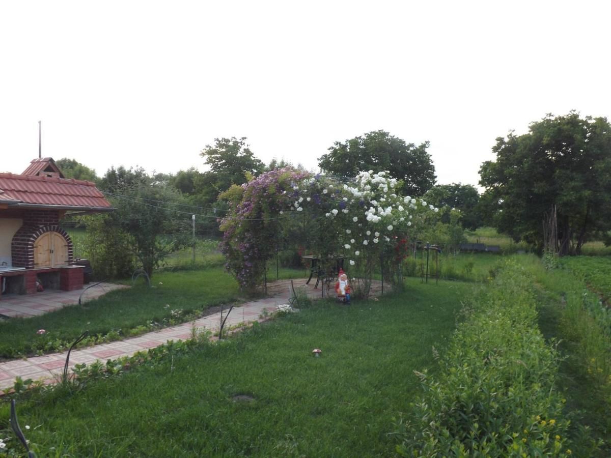 Загородные дома La Mosu-n Retezat Nucşoara-13