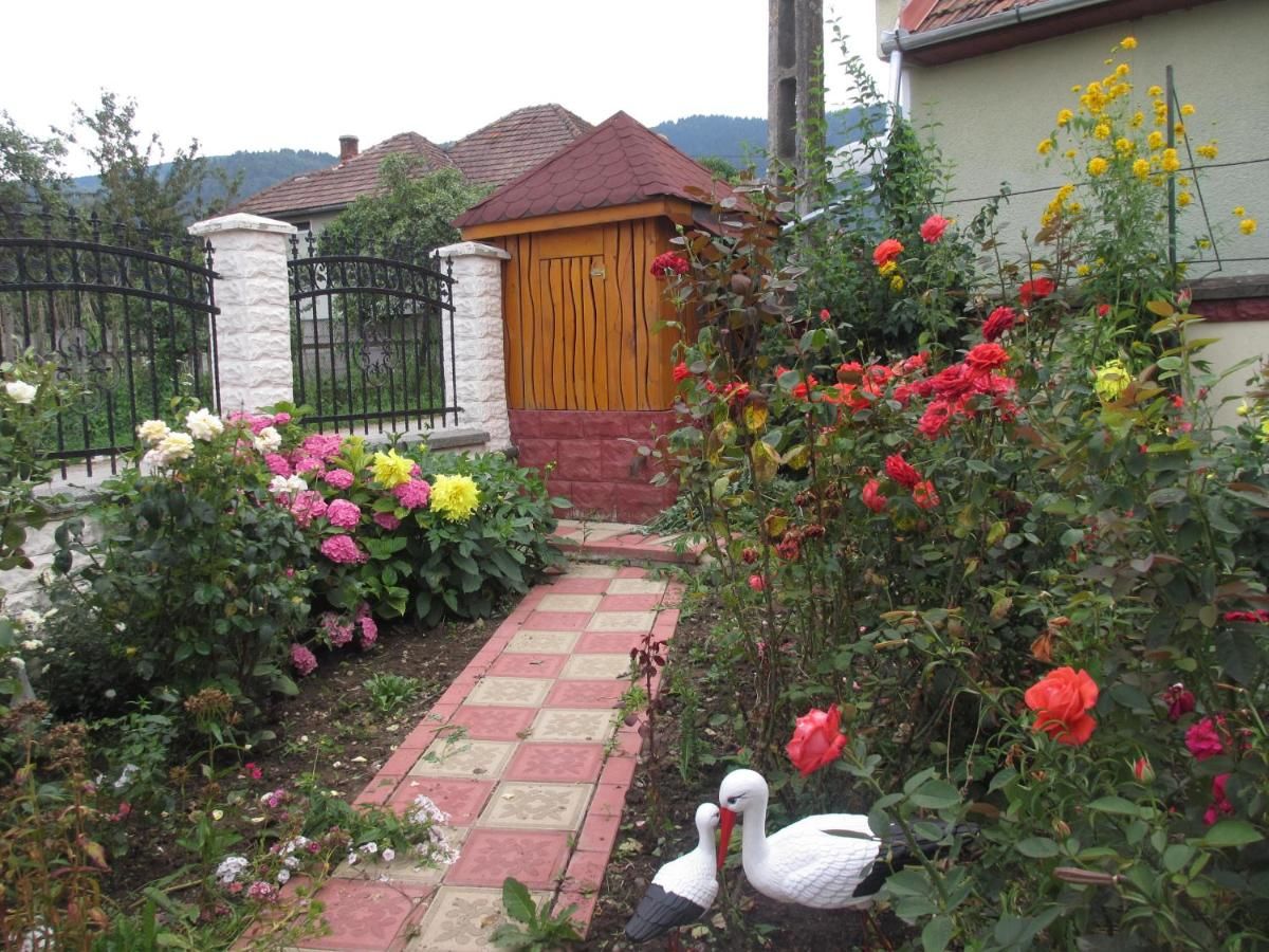 Загородные дома La Mosu-n Retezat Nucşoara-35