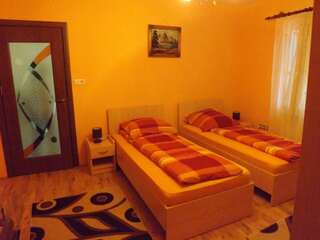 Загородные дома La Mosu-n Retezat Nucşoara Двухместный номер с 1 кроватью и собственной ванной комнатой-4