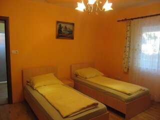 Загородные дома La Mosu-n Retezat Nucşoara Двухместный номер с 1 кроватью и собственной ванной комнатой-9