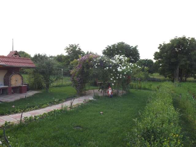 Загородные дома La Mosu-n Retezat Nucşoara-12