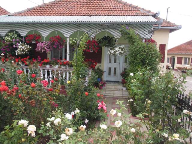 Загородные дома La Mosu-n Retezat Nucşoara-30